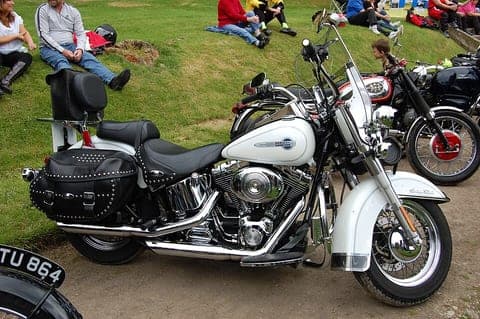 Ein schweres Motorrad mit Ledertaschen auf einer Wiese