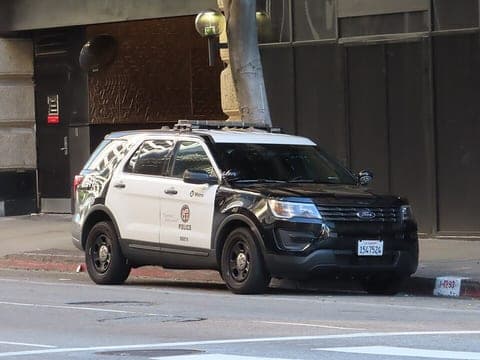 Ein Streifenwagen des Los Angeles Police Department am Straßenrand